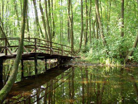 Landgasthof Zum Muehlenteich Eggersdorf  Экстерьер фото